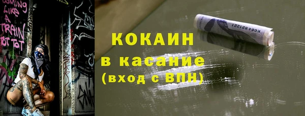прущие грибы Лабытнанги