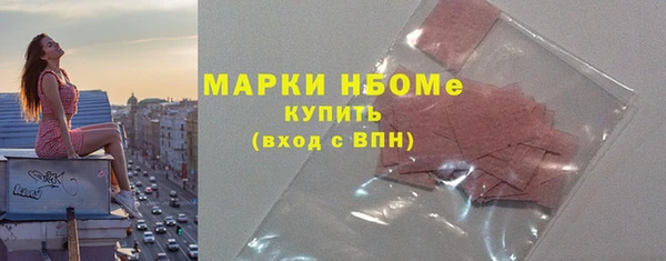 прущие грибы Лабытнанги