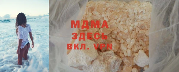 прущие грибы Лабытнанги