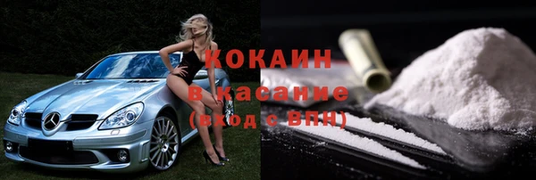 прущие грибы Лабытнанги
