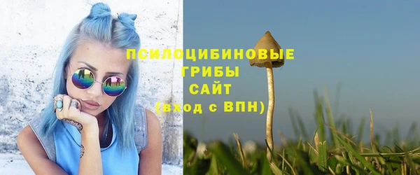 бошки Лагань
