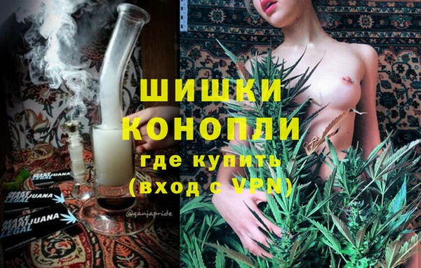 бошки Лагань