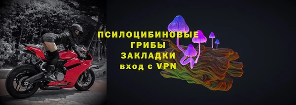 прущие грибы Лабытнанги