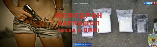 прущие грибы Лабытнанги