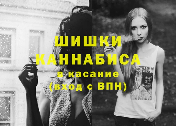 прущие грибы Лабытнанги