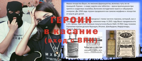 прущие грибы Лабытнанги