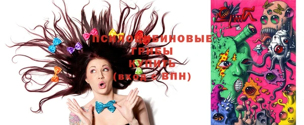 бошки Лагань