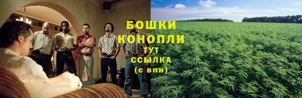 Альфа ПВП Ладушкин