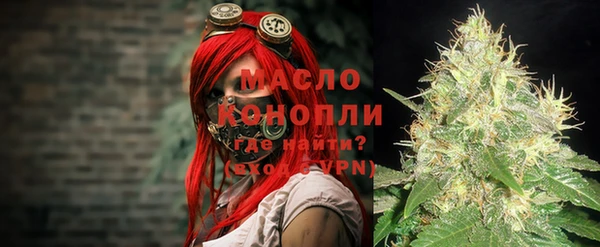 прущие грибы Лабытнанги