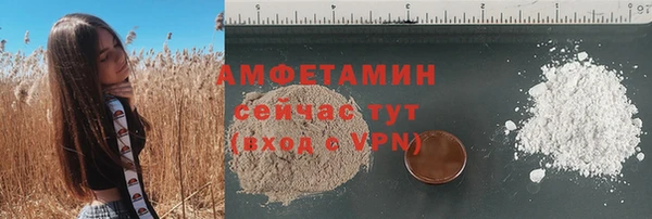 прущие грибы Лабытнанги