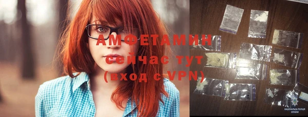 прущие грибы Лабытнанги
