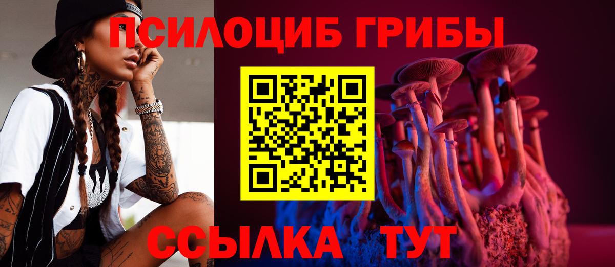 Галлюциногенные грибы Psilocybe  Вход с VPN  Кимры 