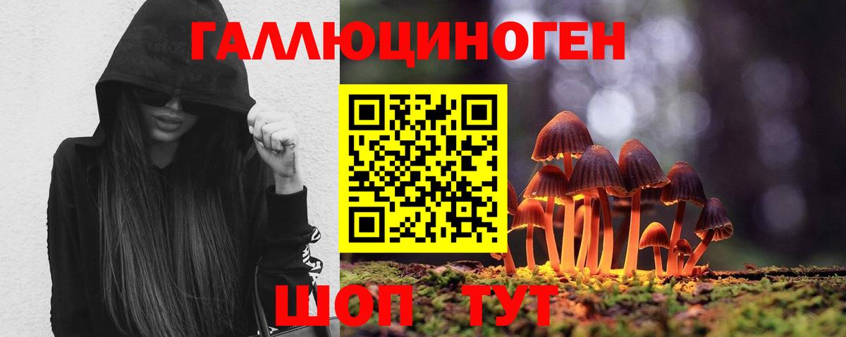 Галлюциногенные грибы GOLDEN TEACHER Кимры